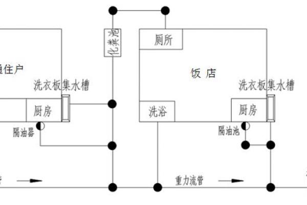 天干三朋的深度解析与应用探讨