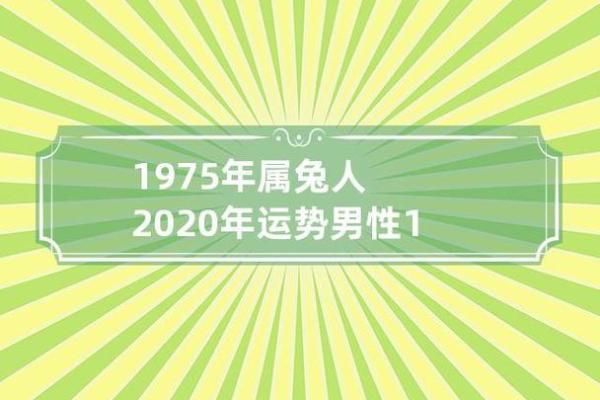 属兔人今日运势：小心决策影响未来走向