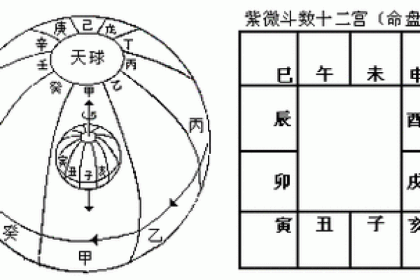 身宫天干对照表解析与应用技巧