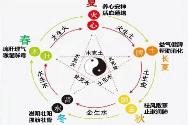 命理学中的五行相生相克解析与运用