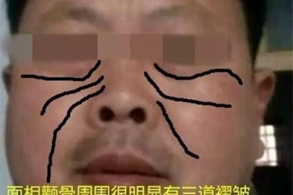 凤眼面相的深层解读：看透命运与性格的秘密