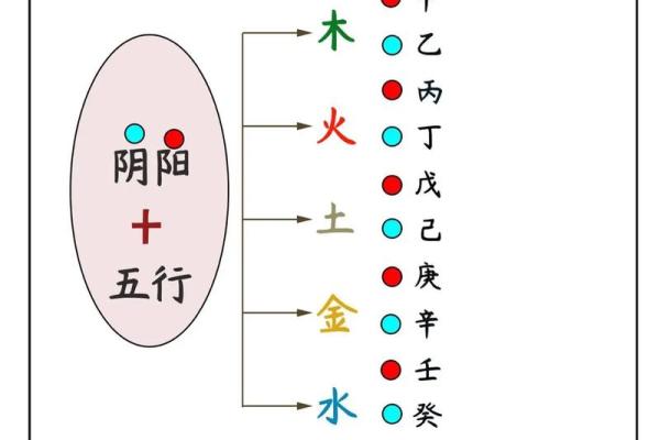 十天干在命理学中的重要性与作用