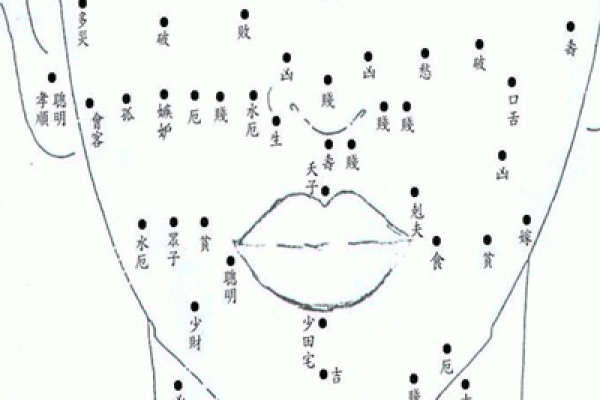 浑身痣相图解：让你了解痣的位置与人生轨迹