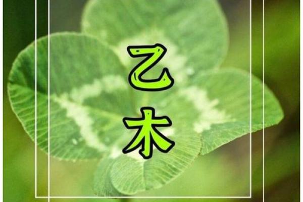 天干精粹乙木的深层解读与象征意义