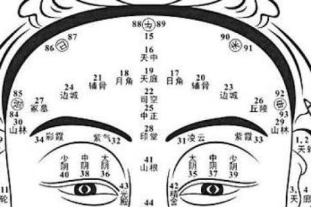 面相与年龄的关系：如何通过面相判断年龄