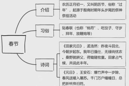 中国传统节日的多样性与文化内涵探秘