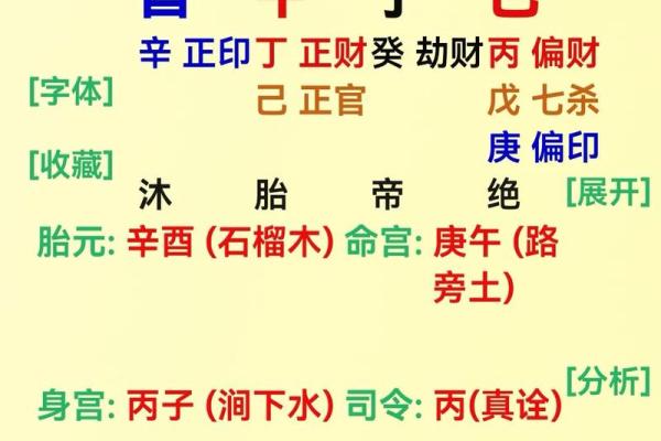 八字排盘软件免费版推荐与使用指南