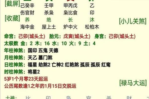 八字五行属性对个人命运的深远影响解析