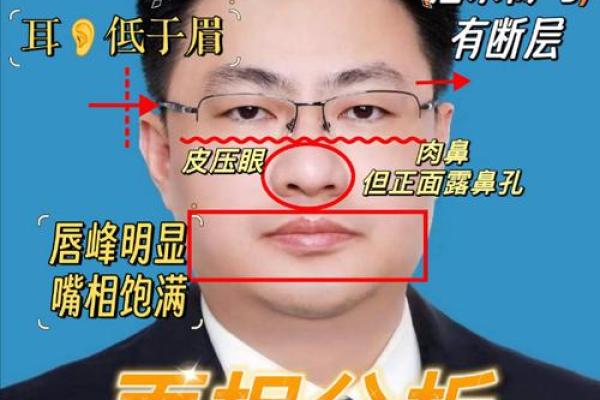 眉毛形态对男人面相影响深度解读