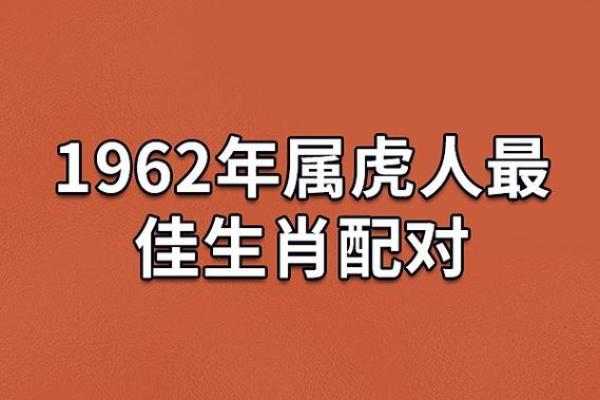 属虎与属龙在爱情中能否长久？生肖配对的优缺点详解