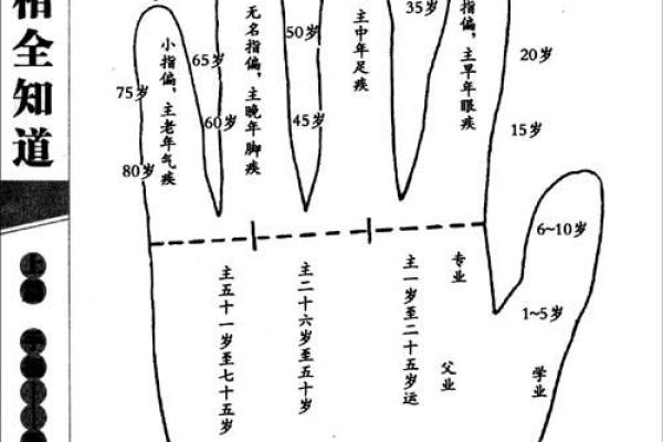 探索自学手相的入门步骤与要点