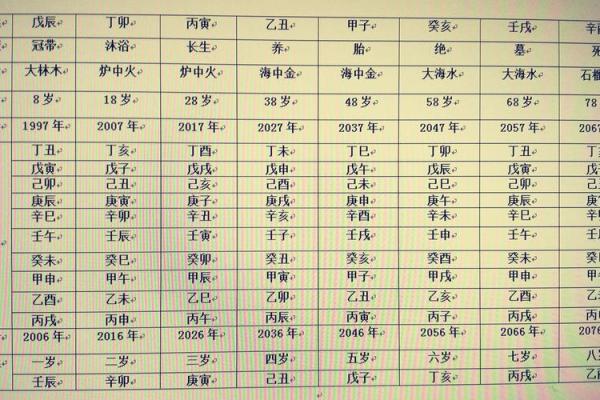 四柱排盘软件推荐与安装教程