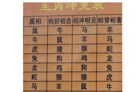 属狗宝宝名字推荐：结合五行与八字