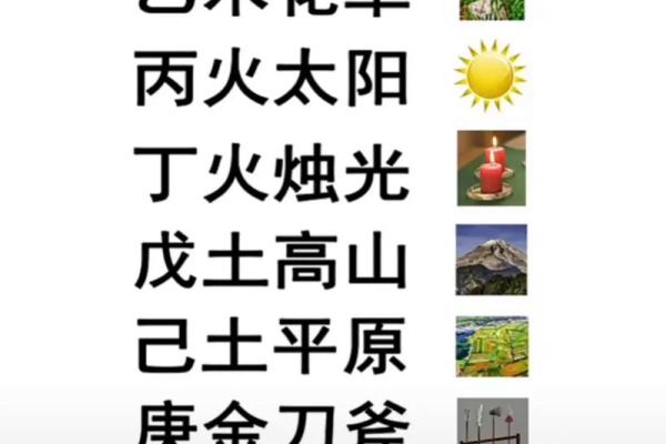 天干十个字的奥秘与五行关系探索