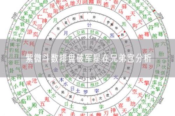 七政四余排盘分析：从天象看命运变化