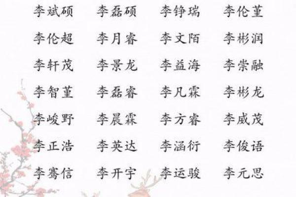 李姓男孩名字大全：融合传统与现代的完美选择