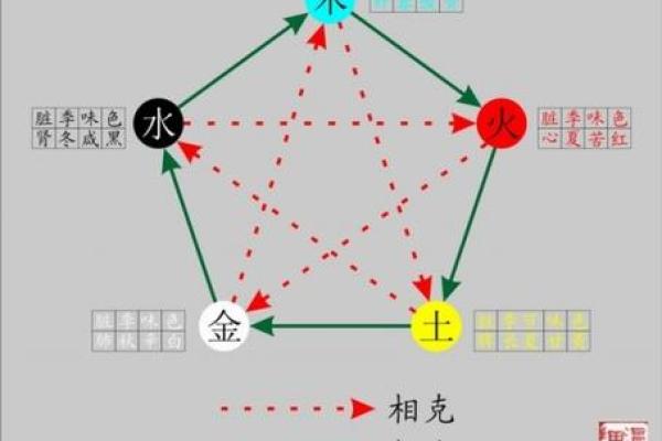 肖与五行属性对应关系详解