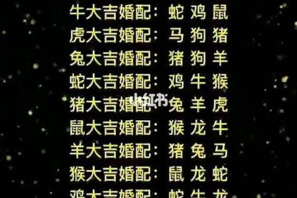 寅时代表的生肖是什么