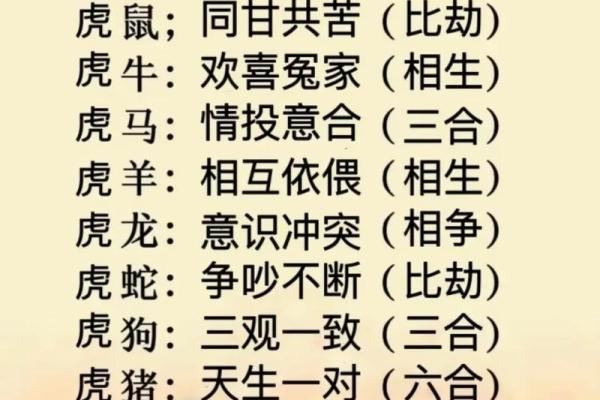 属相相配表揭秘：哪些生肖天生合适，哪些最容易冲突