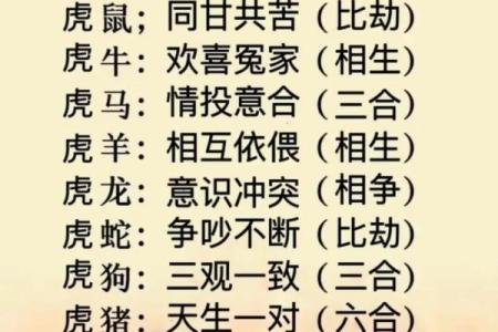 属相相配表揭秘：哪些生肖天生合适，哪些最容易冲突