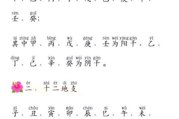 天干地支基础知识详解及应用技巧