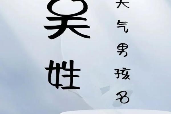 吴宝宝男孩名字大全：寓意、音韵与五行分析