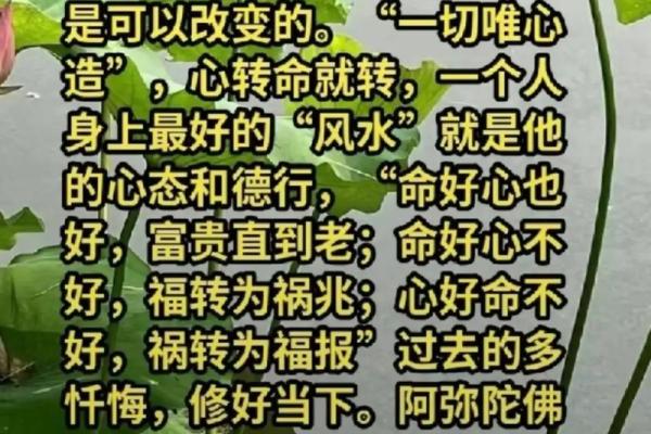 修心命理的智慧，助你化解困境，拥抱幸福人生