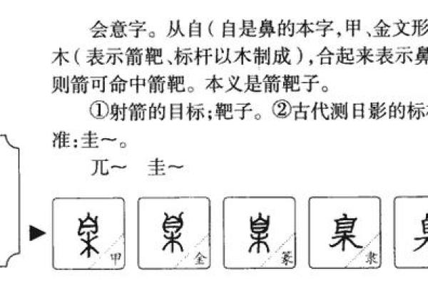 音字在五行中的属性解析与意义探讨