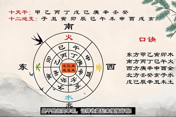 天干地支中的阴阳平衡与五行互动解析