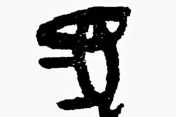 甲字与生肖的关联深度解读