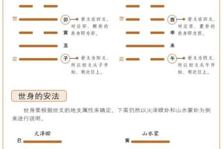 六爻卦排盘技巧解析与应用指南