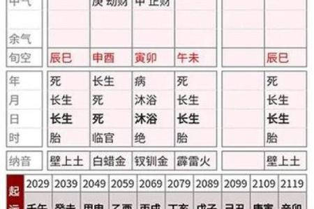 优质四柱排盘软件选择与下载攻略