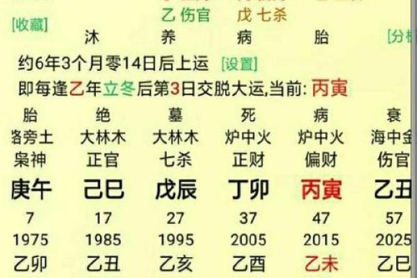 八字中带天命的命格解析与人生指导