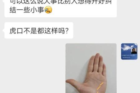 手相全球视角：从西方到东方的掌纹解读