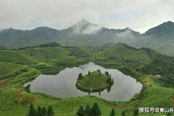 背水风水布局对家庭的影响与禁忌