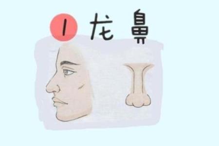 从男人的鼻子看命运：影响财运与健康的面相特征