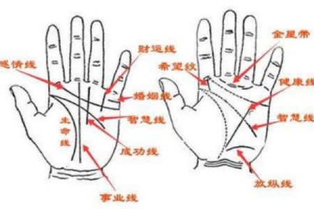 握拳的意义与手相的关系：性格特征与心理暗示