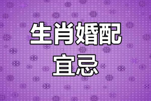 生肖配婚与幸福密码：如何选择理想伴侣的最佳指南