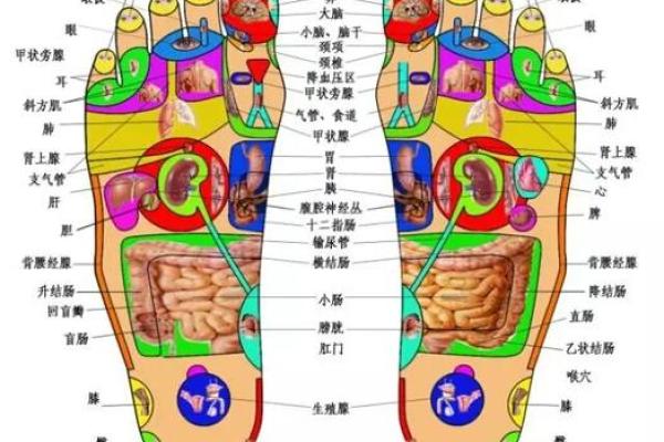 脚底的痣相暗示了哪些健康和运势的信息