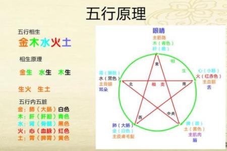 敬字五行属性解析及其在命理中的影响