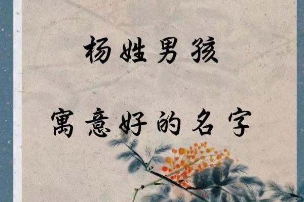 姓杨宝宝起名秘籍：如何挑选寓意深远的名字