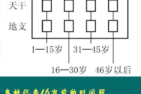 四柱八字中的天干地支与命运关系