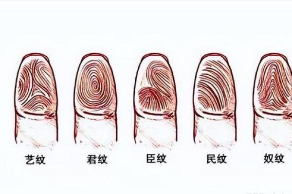 手指面相揭示性格与命运的奥秘