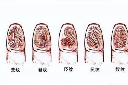 手指面相揭示性格与命运的奥秘