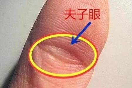 手指线条与运势：如何通过手指看出未来的趋势