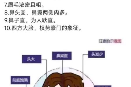 耳朵面相图与性格特征的关系，你了解多少