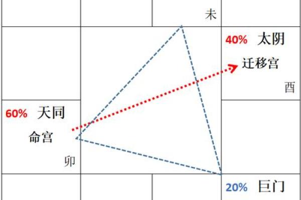 紫薇元亨利贞排盘解读：洞察人生运势的秘钥