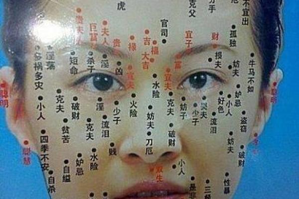 面相解析：从五官看出一个人的性格与命运