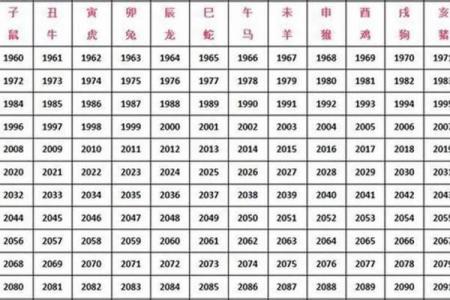 生肖兔今年几岁？来看详细年龄解析