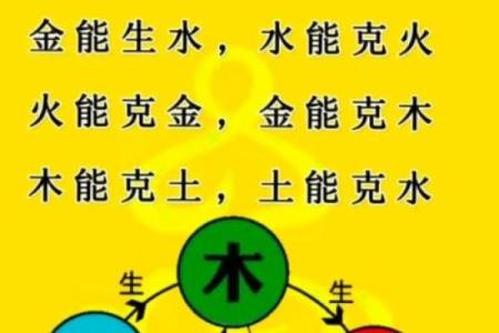 向字五行属性分析及其在命理中的意义